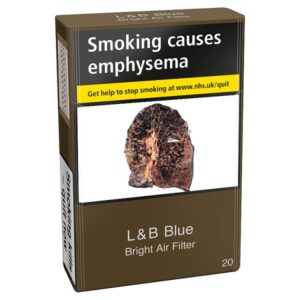 L&B Blue Bright Air Filter King Size 20s