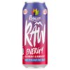 Rubicon Raw Energy Raspberry & Blueberry 500ml